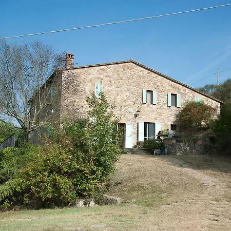 Verde Oliva 2